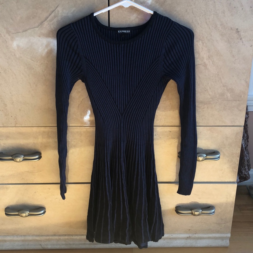 Express sweater skater dress